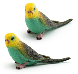 Budgerigar