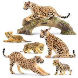 Jaguar familie