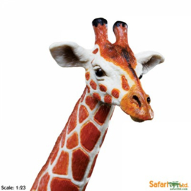 Giraffe  XXL  S 111189