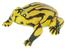 Corroboree Frog 75361