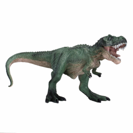 Tyrannosaurus Groen -  Mojo 387293