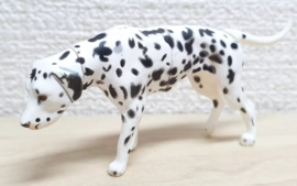 Dalmatier