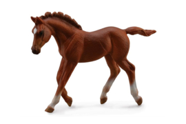 Thoroughbred Foal  XL CollectA 88670