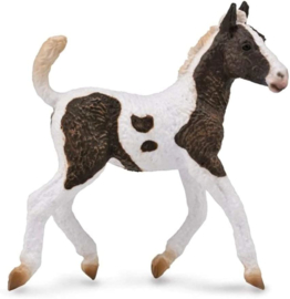 Curly Foal XL 1:20 88781