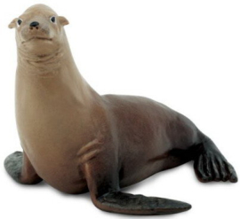 Zeeleeuw S274229