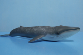 Blue Whale    CollectA 88834