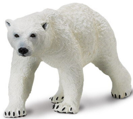 Polar Bear   S273329