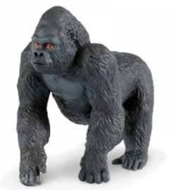 Gorilla  S282829