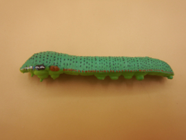 Hebomoia glaucippe
