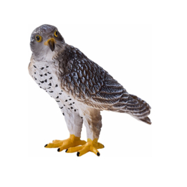Peregrin falcon  Mojo 381056