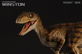 Velociraptor Winston  Rebor 98504