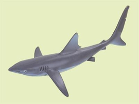 Blue shark  Schleich 16078 retired