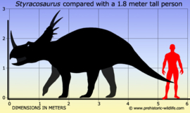 Styracosaurus CollectA 88147