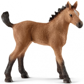 Quarter veulen - Schleich 13854