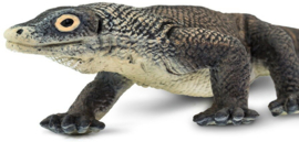 Komodo Dragon  S100263