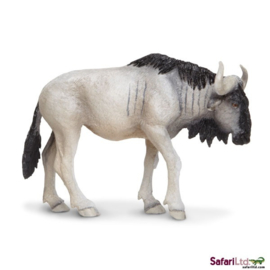 Wildebeest  Gnoe   S222829