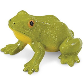 Bullfrog safari 181529