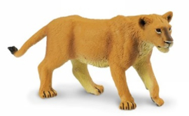 Lioness  S290329