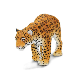 Jaguar Safari 227729