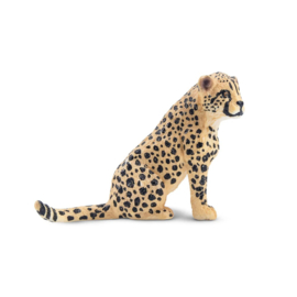 Cheetah welp  Toymany