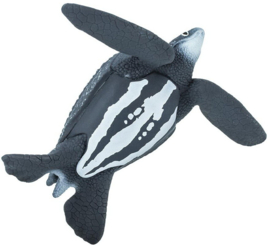 Leatherback Sea Turtle