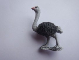 Ostrich  mini
