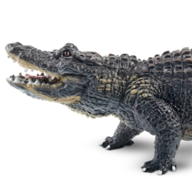 Alligator Toymany