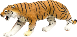Bengaalse tijger  S270829