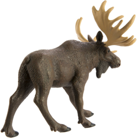 Moose Bull   S290029