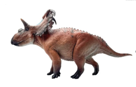 Kosmoceratops  Haolonggood