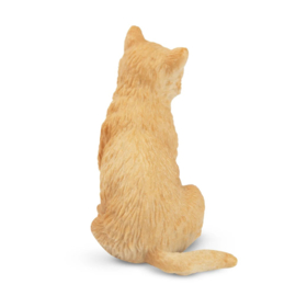 Wolf  pool-  arctic  welp  Toymany