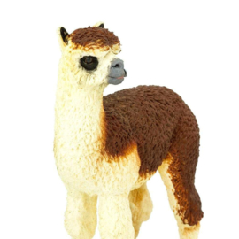 Alpaca  S224529