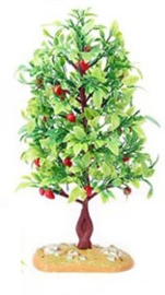 Apple tree  20 cm