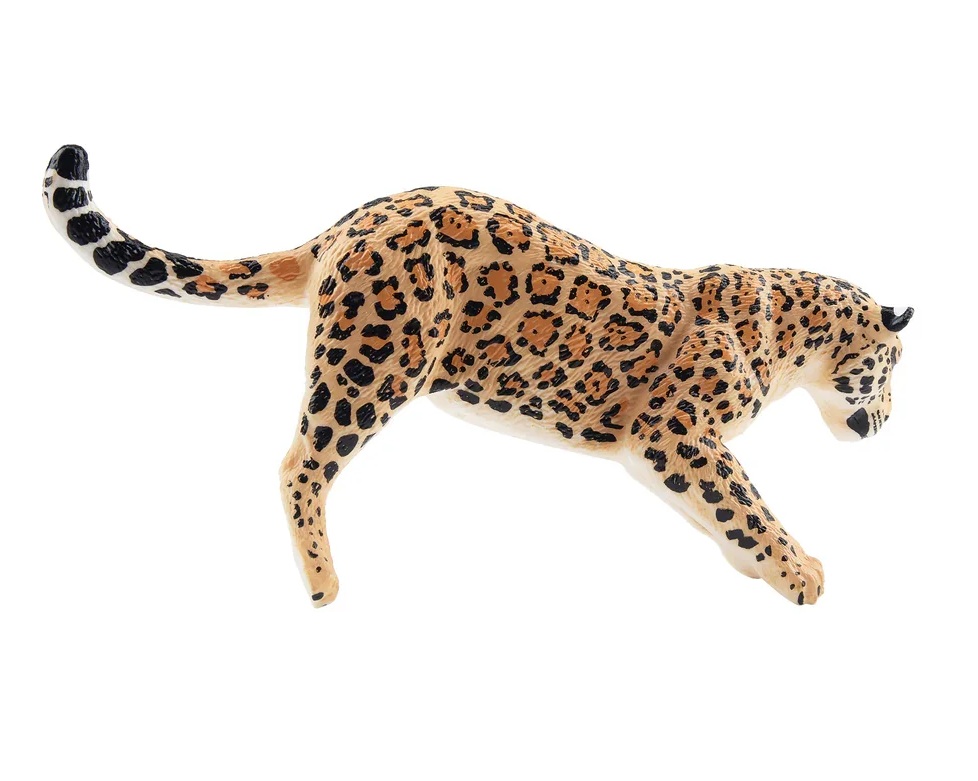 Jaguar (vrouwtje) op boomstam  Toymany