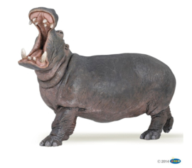 Hippopotamus Papo