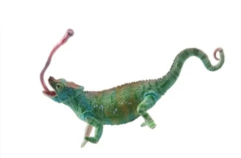 Parson's Chameleon  Toymany