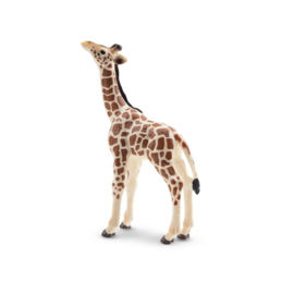 Giraffe  kalf  Toymany