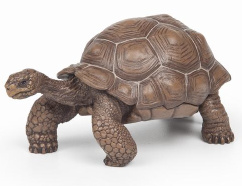 Giant tortoise   Papo 50161
