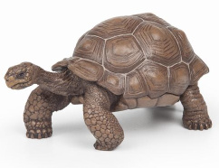 Reuzenschildpad   Papo 50161