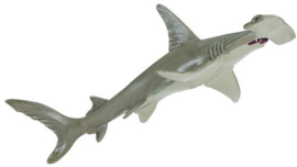 Hammerhead Shark  S274829