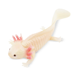 Axolotl Toymany