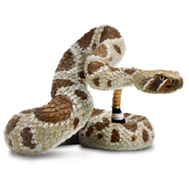 Western Diamondback Rattlesnake S101083 -