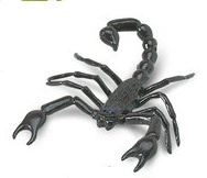 Scorpion  mini
