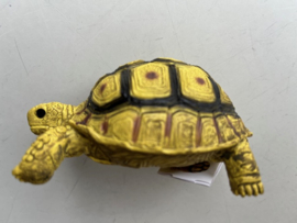 Landschildpad geel/zwart    XL