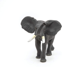 Elephant  Papo 50215