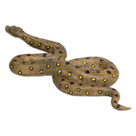 Anaconda Mojo 3871007