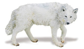 White Wolf  S220029