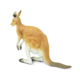 Kangaroo with Joey  S100108
