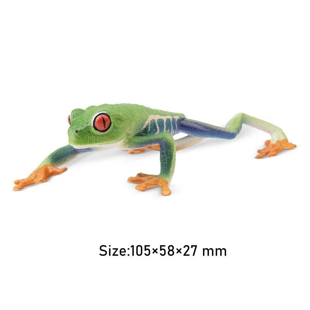 Red eyed treefrog Toymany