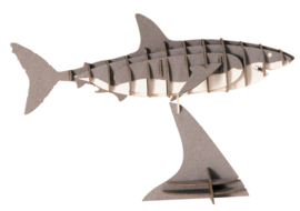 Shark  paper model